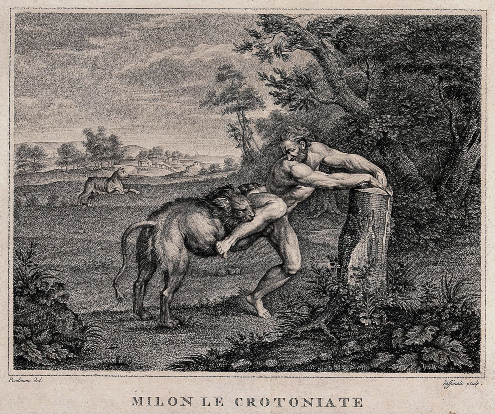 Milon z Krotonu rozszarpywany przez wilki