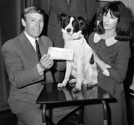 Pies Pickels, bohater Anglików w 1966 r.