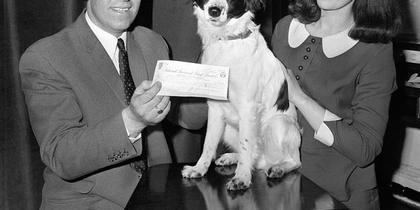 Pies Pickels, bohater Anglików w 1966 r.